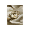 Digital Oil Painting Oyster #4 – Still Life Art Print