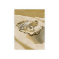 Digital Oil Painting Oyster #2 - Still Life Art Print