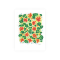 Oil Pastel Nasturtiums – Botanical Art Print