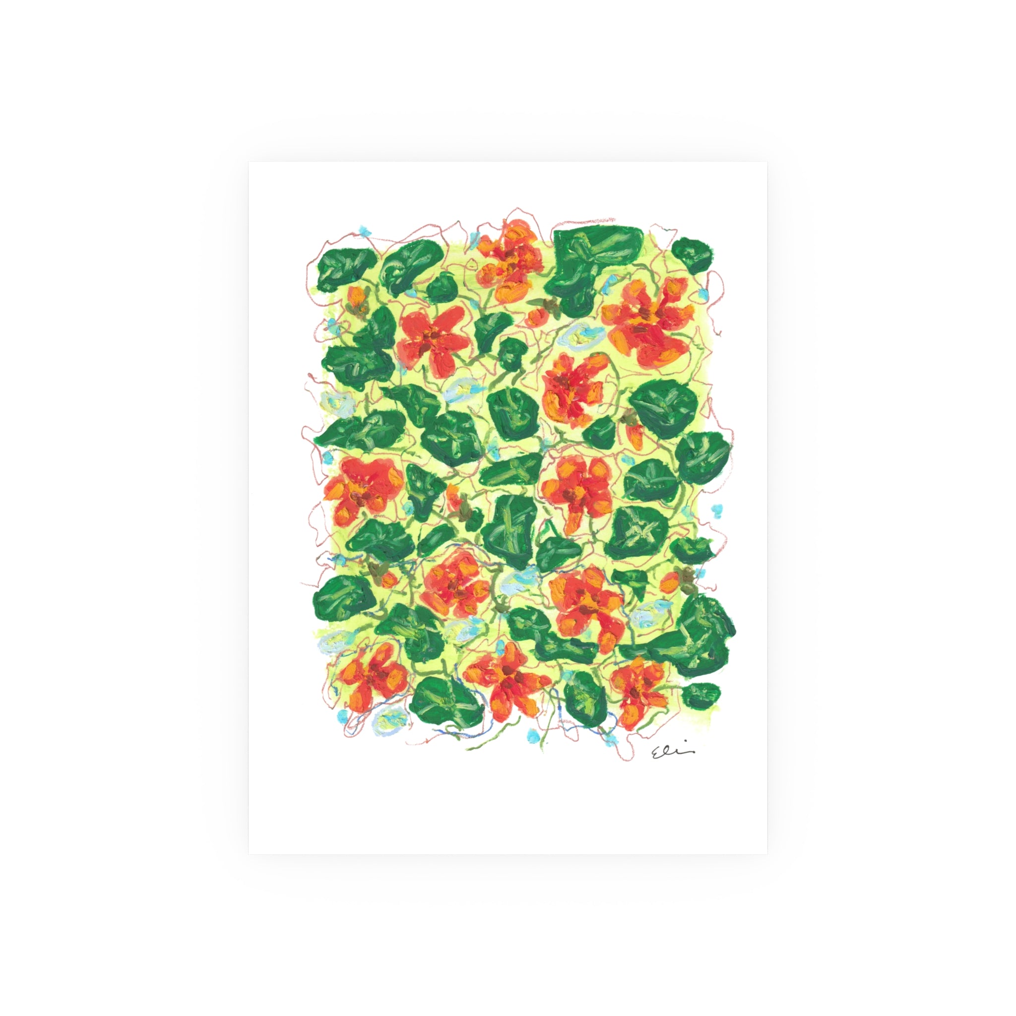 Oil Pastel Nasturtiums – Botanical Art Print