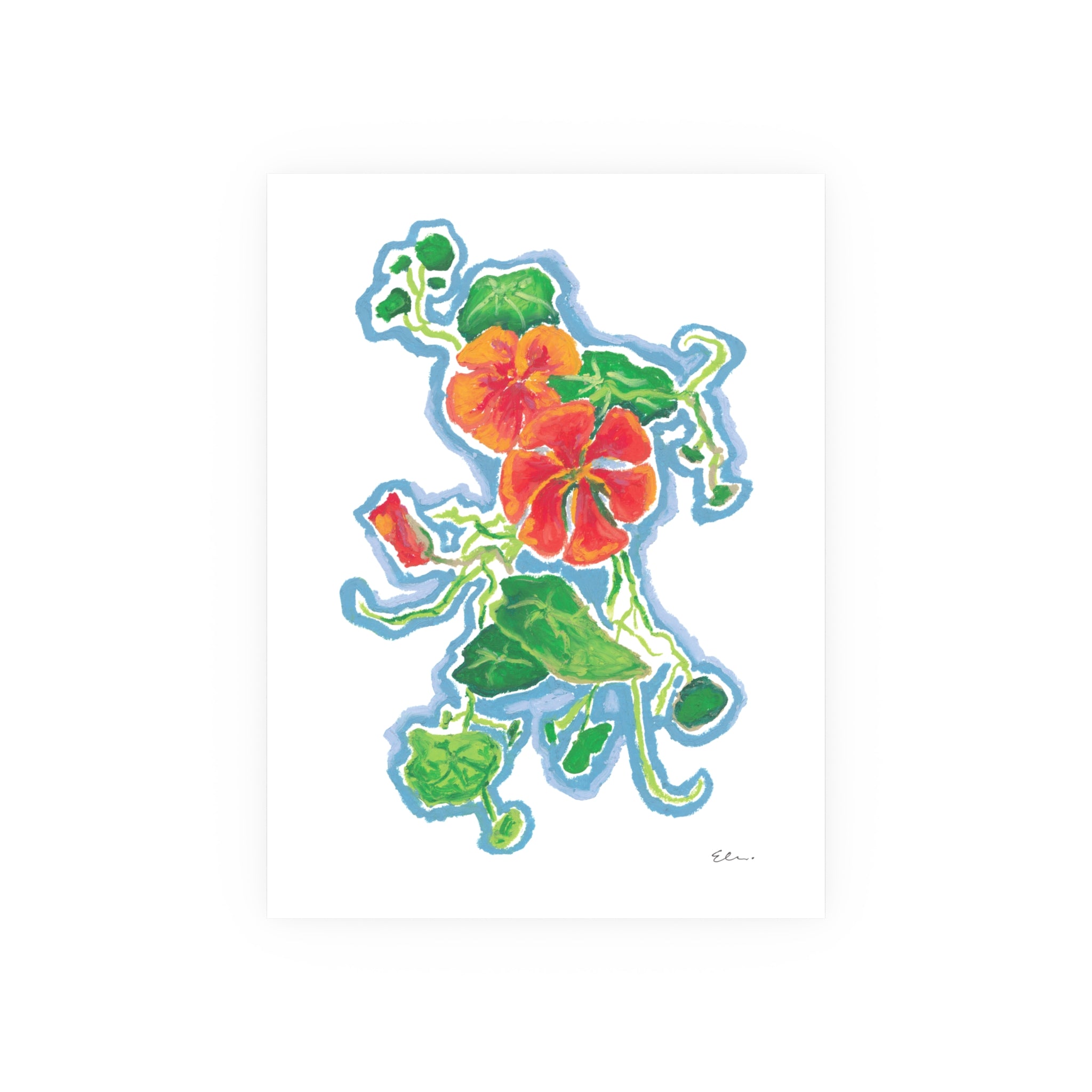 Oil Pastel Nasturtium Study – Botanical Art Print