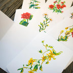 Greeting Card - Forsythia - Oil Pastel Art Print - Blank Inside (A2)