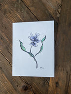 Greeting Card - Purple Iris - Ink and Pencil Art Print - Blank Inside (A2)