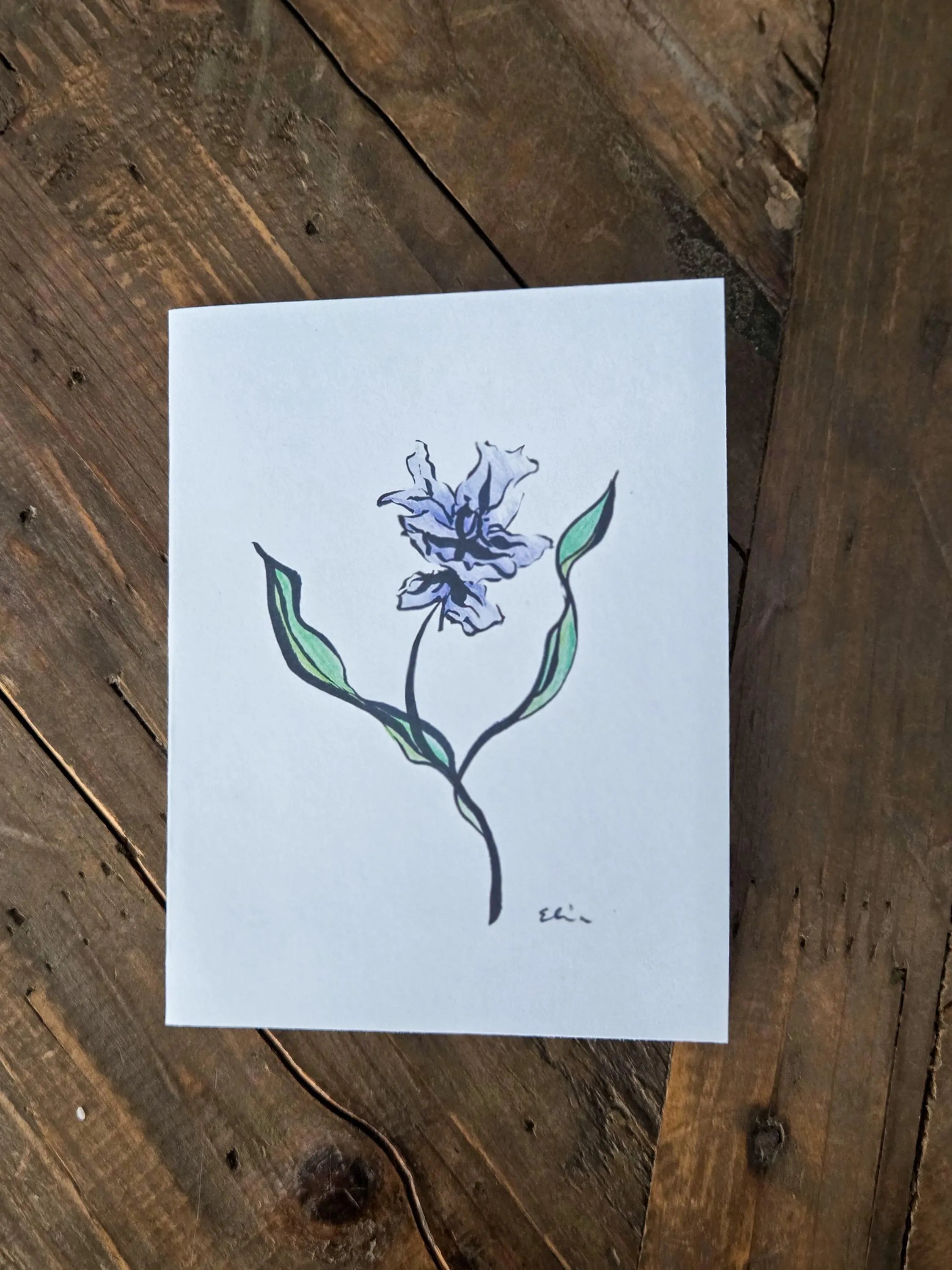 Greeting Card - Purple Iris - Ink and Pencil Art Print - Blank Inside (A2)